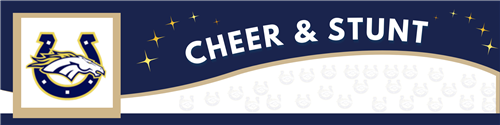 Cheer & Stunt